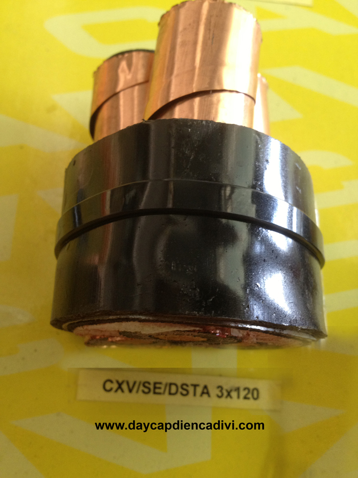 CXV/Se-DSTA 3x120 -12/20(24)kV