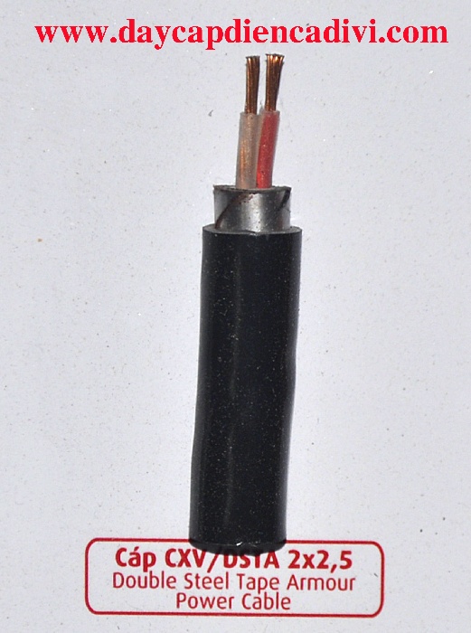 Cáp Ngầm CXV/DSTA 2x2.5mm2