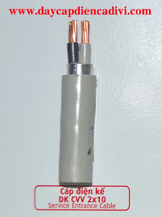Cáp Điện Kế DK CVV 2x10mm2