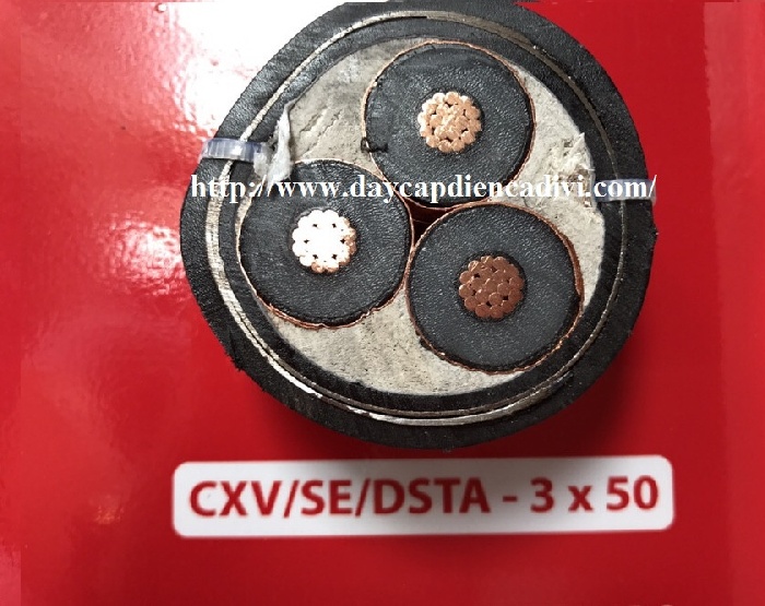 CXV/SE/DSTA 3x50-12/20(24)kV