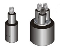 Cáp điện lực dẹt hạ thế 2 - 3 lõi, ruột đồng, cách điện PVC hoặc XLPE, vỏ PVC hoặc HDPE CVVf, CXVf, CXEf