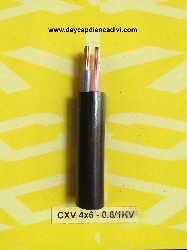 CXV -4x6-0.6/1kV Cu/XLPE/PVC