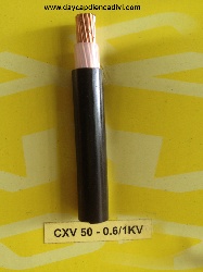 CXV-50-0.6/1kV Cu/XLPE/PVC