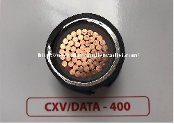 CXV/DATA  400 -0.6/1kV